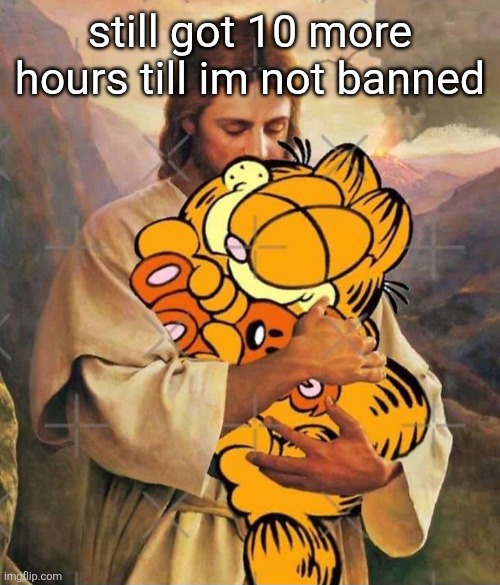 Jesus and Garfield | still got 10 more hours till im not banned | image tagged in jesus and garfield | made w/ Imgflip meme maker