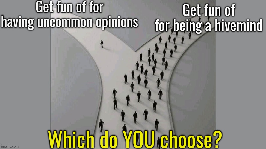 2 Paths in Life | Get fun of for having uncommon opinions; Get fun of for being a hivemind; Which do YOU choose? | image tagged in 2 paths in life | made w/ Imgflip meme maker