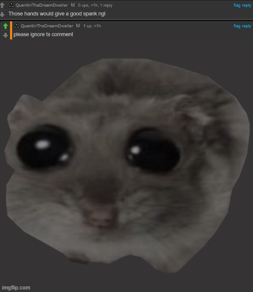 he want ur pancreas pls :3 | image tagged in sad hamster | made w/ Imgflip meme maker