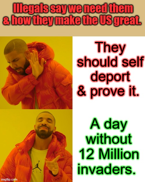 Great ideal | Illegals say we need them & how they make the US great. They should self deport & prove it. A day without 12 Million invaders. | image tagged in memes,drake hotline bling | made w/ Imgflip meme maker