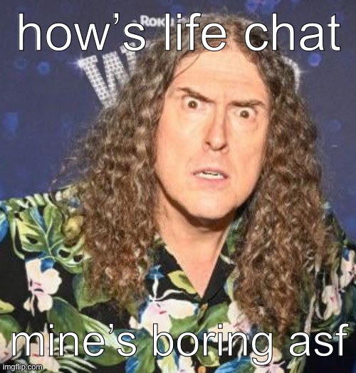 weird al | how’s life chat; mine’s boring asf | image tagged in weird al | made w/ Imgflip meme maker