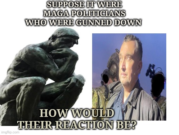 For every action a reaction | SUPPOSE IT WERE MAGA POLITICIANS WHO WERE GUNNED DOWN; HOW WOULD THEIR REACTION BE? | image tagged in assassin,murder,political,republicans,democrats | made w/ Imgflip meme maker