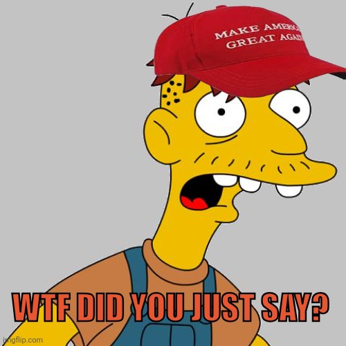 cletus | WTF DID YOU JUST SAY? | image tagged in cletus | made w/ Imgflip meme maker