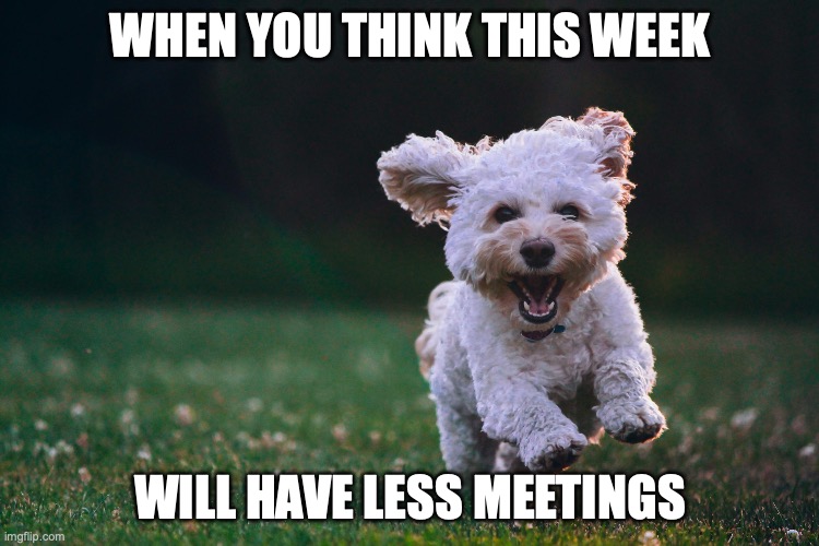 this week less meetings | WHEN YOU THINK THIS WEEK; WILL HAVE LESS MEETINGS | image tagged in meetings,work | made w/ Imgflip meme maker