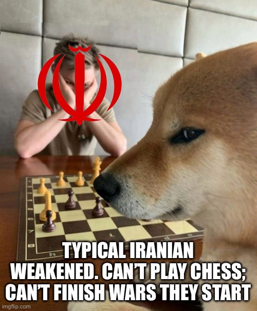 Chess doge | TYPICAL IRANIAN WEAKENED. CAN’T PLAY CHESS; CAN’T FINISH WARS THEY START | image tagged in chess doge | made w/ Imgflip meme maker