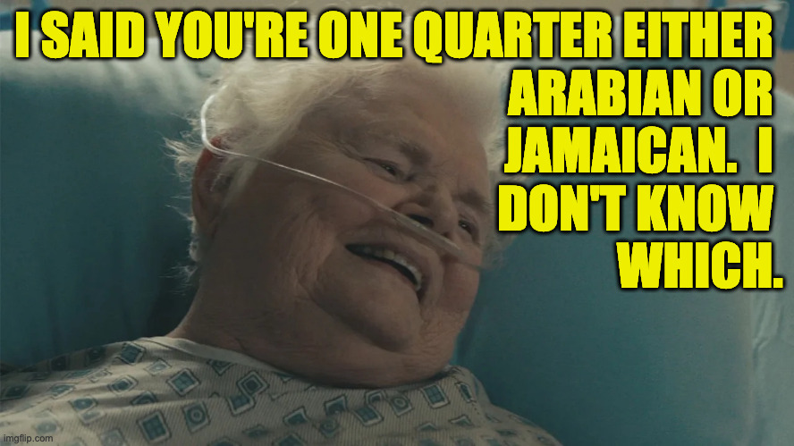 I SAID YOU'RE ONE QUARTER EITHER 
ARABIAN OR 
JAMAICAN.  I 
DON'T KNOW 
WHICH. | made w/ Imgflip meme maker