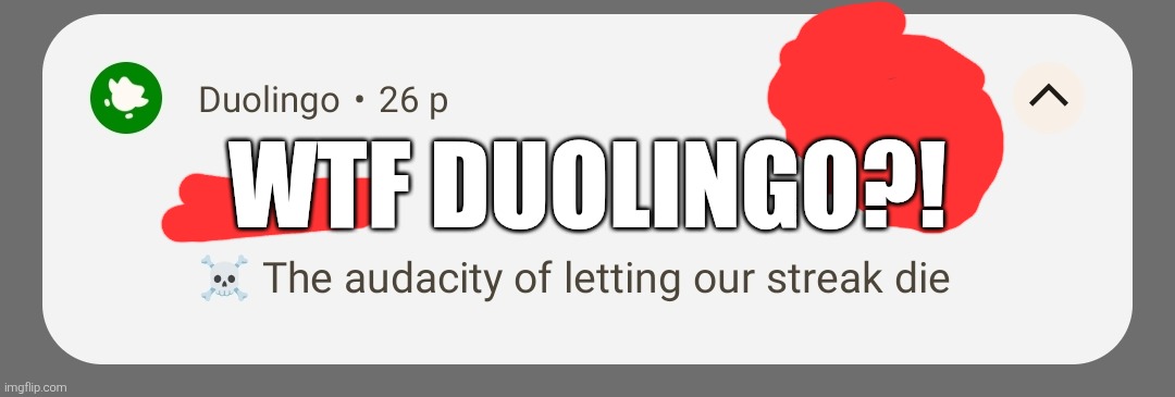 ... | WTF DUOLINGO?! | image tagged in memes,duolingo | made w/ Imgflip meme maker