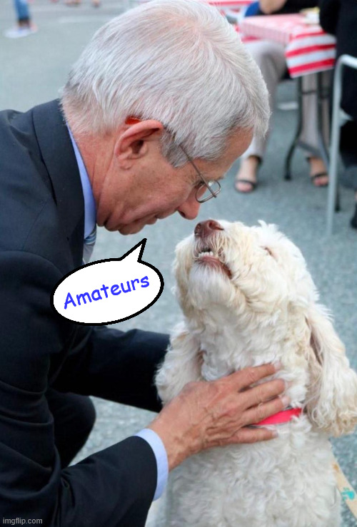 Fauci with dog | Amateurs | image tagged in fauci with dog | made w/ Imgflip meme maker