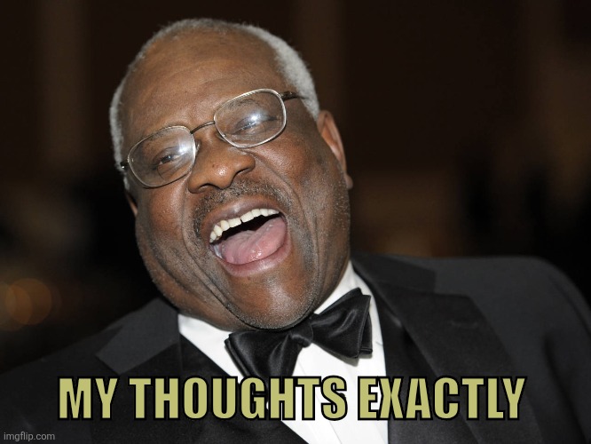 Clarence Thomas Laughing | MY THOUGHTS EXACTLY | image tagged in clarence thomas laughing | made w/ Imgflip meme maker