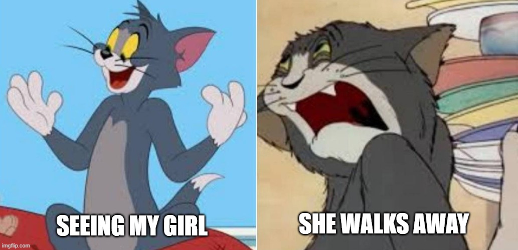 happy sad | SEEING MY GIRL SHE WALKS AWAY | image tagged in happy sad | made w/ Imgflip meme maker