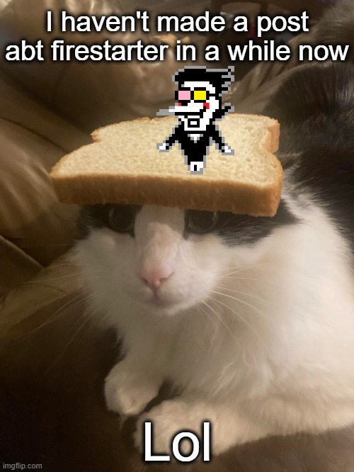 SPAMTON GET OFF THE BREAD- | I haven't made a post abt firestarter in a while now; Lol | image tagged in bread cat | made w/ Imgflip meme maker