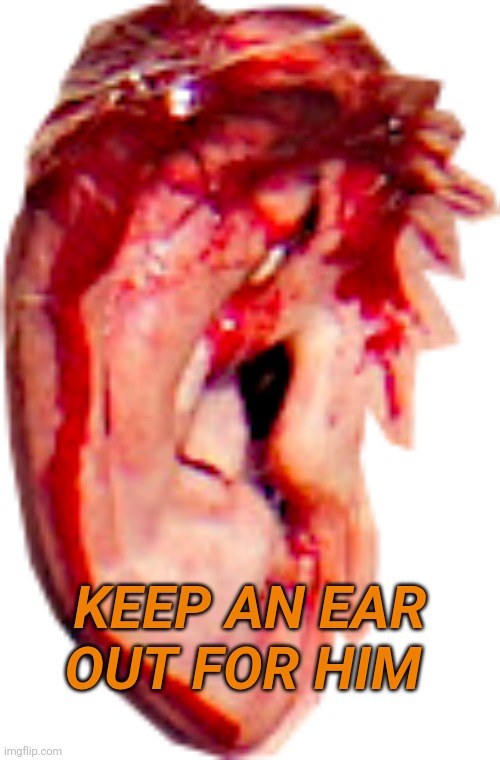 TRUMP'S BLOODY SHOT EAR | KEEP AN EAR OUT FOR HIM | image tagged in trump's bloody shot ear | made w/ Imgflip meme maker