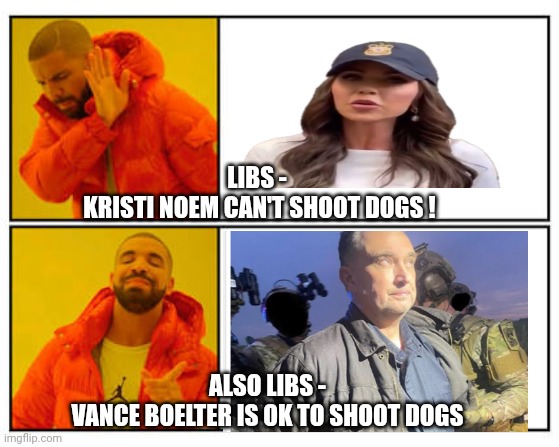 Lib Democrats who shoot other dems | LIBS -
 KRISTI NOEM CAN'T SHOOT DOGS ! ALSO LIBS -
VANCE BOELTER IS OK TO SHOOT DOGS | image tagged in no - yes,leftists,liberals,democrats,minnesota,walz | made w/ Imgflip meme maker