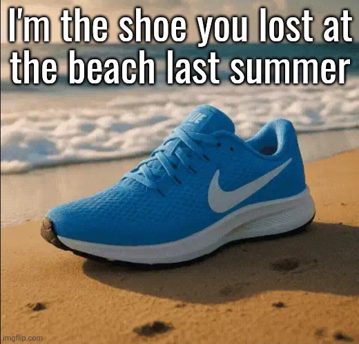 I'm the shoe you lost at
the beach last summer | made w/ Imgflip meme maker