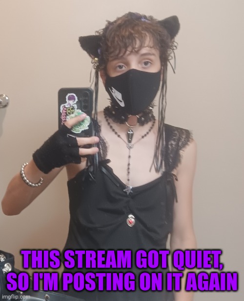 Please be nice, yall :( | THIS STREAM GOT QUIET, SO I'M POSTING ON IT AGAIN | made w/ Imgflip meme maker