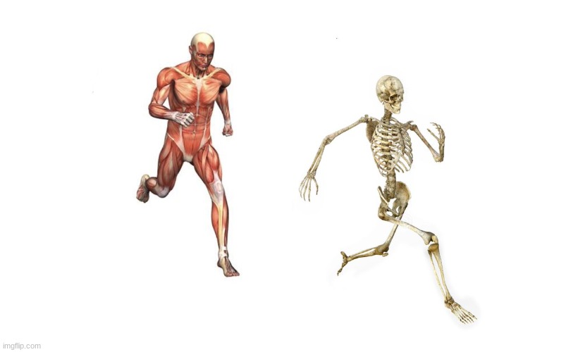 image tagged in run skeleton | made w/ Imgflip meme maker