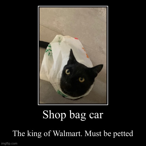 cute cat :3 | Shop bag car | The king of Walmart. Must be petted | image tagged in funny,demotivationals,cute cat,cat | made w/ Imgflip demotivational maker