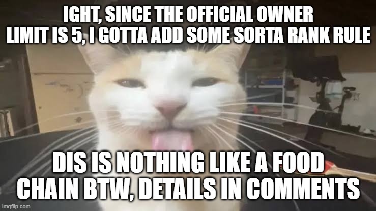 Milly the silly cat Bleh Cat | IGHT, SINCE THE OFFICIAL OWNER LIMIT IS 5, I GOTTA ADD SOME SORTA RANK RULE; DIS IS NOTHING LIKE A FOOD CHAIN BTW, DETAILS IN COMMENTS | image tagged in milly the silly cat bleh cat,sans de topic | made w/ Imgflip meme maker