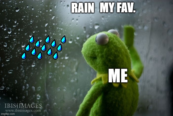 kermit window | MY FAV. RAIN; ME | image tagged in kermit window | made w/ Imgflip meme maker