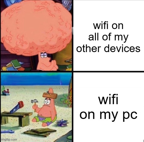 my current situation | wifi on all of my other devices; wifi on my pc | image tagged in patrick big brain | made w/ Imgflip meme maker