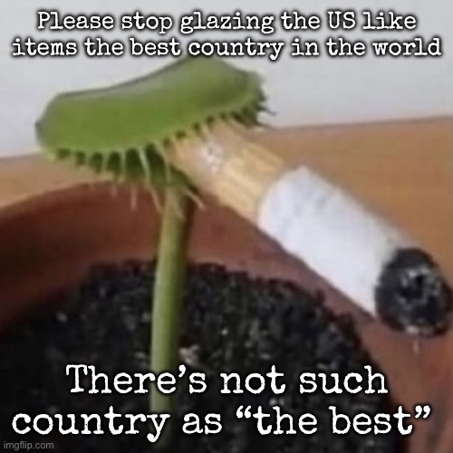 plant weeds | Please stop glazing the US like items the best country in the world; There’s not such country as “the best” | image tagged in plant weeds,msmg | made w/ Imgflip meme maker