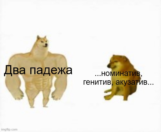 9xlm90.jpg