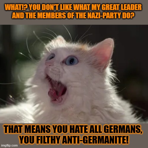This #lolcat wonders why fascists think that if you hate a leader, you hate all his subjects too | WHAT!? YOU DON'T LIKE WHAT MY GREAT LEADER 
AND THE MEMBERS OF THE NAZI-PARTY DO? THAT MEANS YOU HATE ALL GERMANS, 
YOU FILTHY ANTI-GERMANITE! | image tagged in hitler,zionism,netanyahu,jews,lolcat,fascists | made w/ Imgflip meme maker