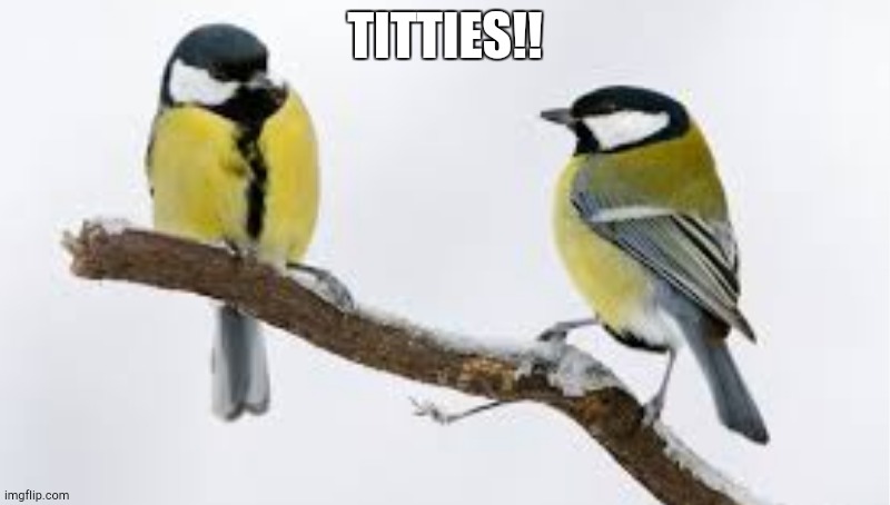 TITTIES!! | made w/ Imgflip meme maker