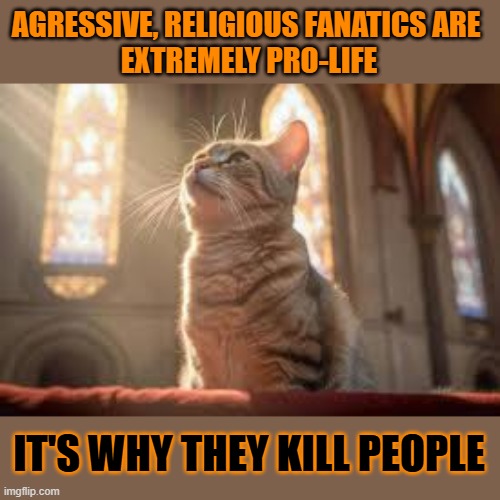 This #lolcat wonders why pro-life people want people dead | AGRESSIVE, RELIGIOUS FANATICS ARE 
EXTREMELY PRO-LIFE; IT'S WHY THEY KILL PEOPLE | image tagged in pro-life,abortion,religious,evangelicals,lolcat | made w/ Imgflip meme maker