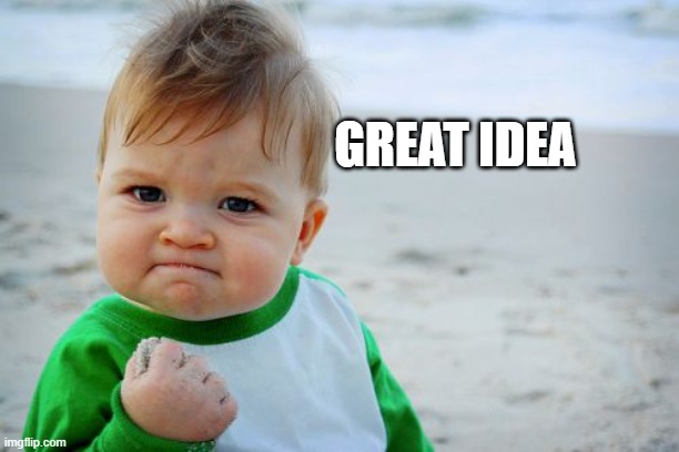 Success Kid Original Meme | GREAT IDEA | image tagged in memes,success kid original | made w/ Imgflip meme maker