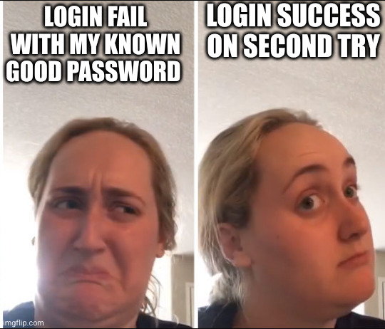 Kombucha Girl | LOGIN SUCCESS ON SECOND TRY; LOGIN FAIL WITH MY KNOWN GOOD PASSWORD | image tagged in kombucha girl | made w/ Imgflip meme maker