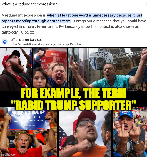 As far as I know, there's no non-rabid variety. | FOR EXAMPLE, THE TERM
"RABID TRUMP SUPPORTER" | image tagged in memes,rabid,trump supporters,redundant | made w/ Imgflip meme maker