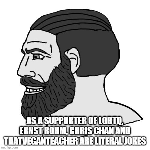 They put a bad name on lgbt so lgbt and it's supporters don't claim any of them | AS A SUPPORTER OF LGBTQ, ERNST ROHM, CHRIS CHAN AND THATVEGANTEACHER ARE LITERAL JOKES | image tagged in gigachad wojak chad,lgbtq | made w/ Imgflip meme maker