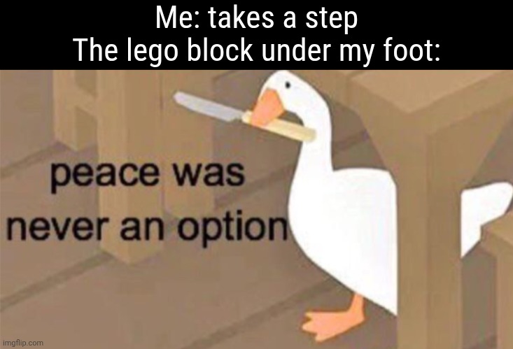 lego blocks | Me: takes a step
The lego block under my foot: | image tagged in untitled goose peace was never an option,goose,reeeeeeeeeeeeeeeeeeeeee | made w/ Imgflip meme maker