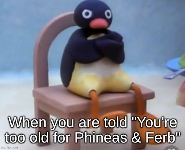 You're Too Old For X | When you are told "You're too old for Phineas & Ferb" | image tagged in angry pingu,memes,relatable,phineas and ferb,disney,nostalgia | made w/ Imgflip meme maker