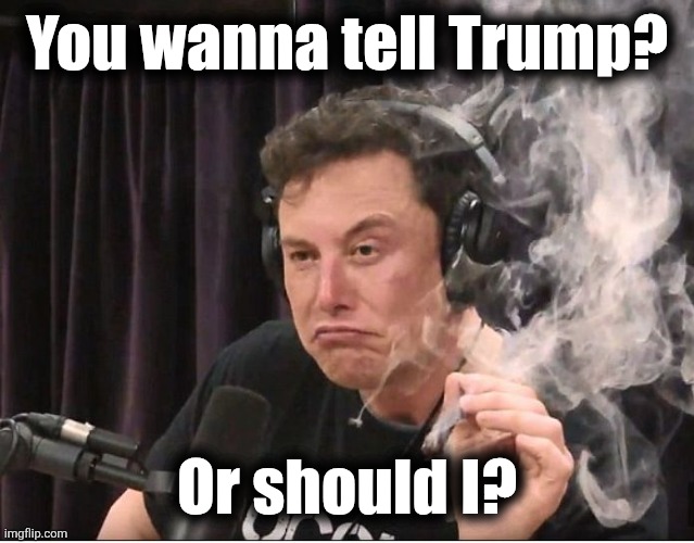 Elon Musk smoking a joint | You wanna tell Trump? Or should I? | image tagged in elon musk smoking a joint | made w/ Imgflip meme maker