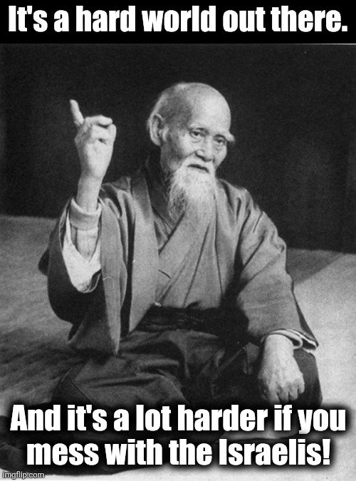 Wise Master | It's a hard world out there. And it's a lot harder if you
mess with the Israelis! | image tagged in wise master | made w/ Imgflip meme maker