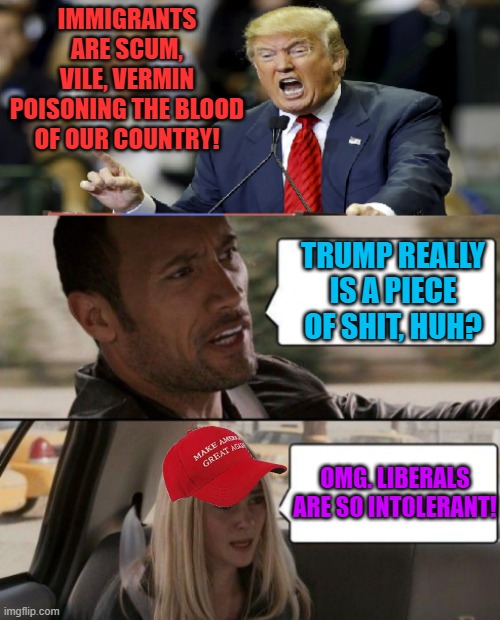 Para Dudes | IMMIGRANTS ARE SCUM, VILE, VERMIN POISONING THE BLOOD OF OUR COUNTRY! TRUMP REALLY IS A PIECE OF SHIT, HUH? OMG. LIBERALS ARE SO INTOLERANT! | image tagged in maga,trump,racists,intolerance | made w/ Imgflip meme maker