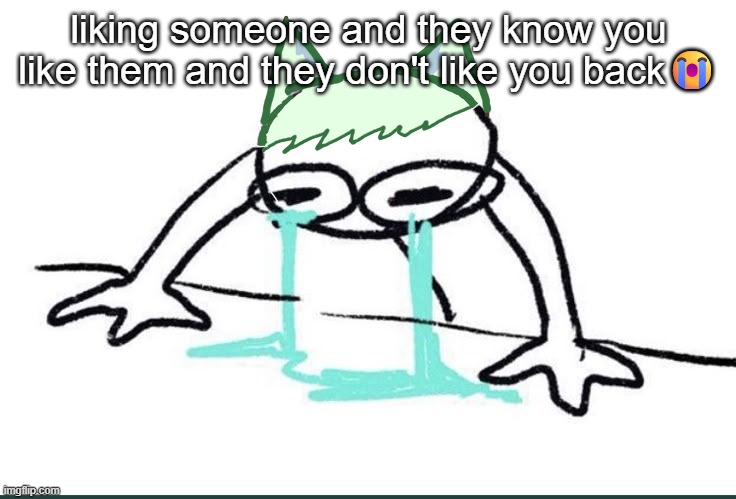 Neko crying (made ts in 5~ minutes) | liking someone and they know you like them and they don't like you back😭 | image tagged in neko crying made ts in 5 minutes | made w/ Imgflip meme maker