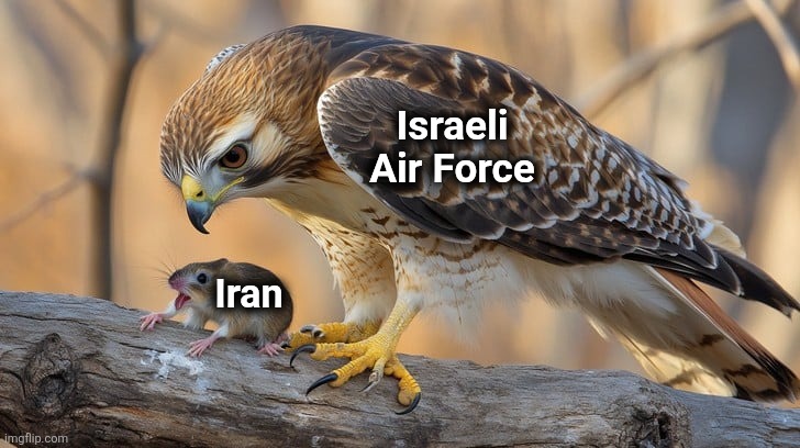 Choose your battles more wisely | Israeli
Air Force; Iran | image tagged in memes,israel,israeli air force,iran,war,choose your battles | made w/ Imgflip meme maker