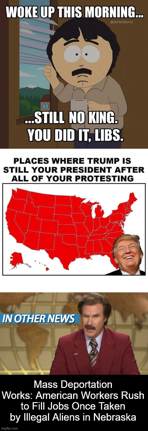 In other news... | Mass Deportation Works: American Workers Rush to Fill Jobs Once Taken by Illegal Aliens in Nebraska | image tagged in in other news tunsw,majority supports deportations | made w/ Imgflip meme maker