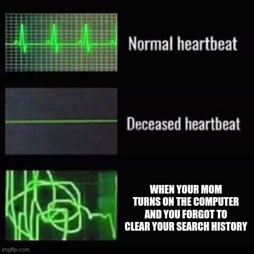 heartbeat rate | WHEN YOUR MOM TURNS ON THE COMPUTER AND YOU FORGOT TO CLEAR YOUR SEARCH HISTORY | image tagged in heartbeat rate | made w/ Imgflip meme maker