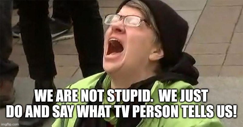 crying liberal | WE ARE NOT STUPID.  WE JUST DO AND SAY WHAT TV PERSON TELLS US! | image tagged in crying liberal | made w/ Imgflip meme maker