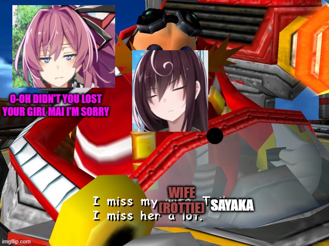 Death end re;Quest Code Z Mai misses her wife meme | O-OH DIDN'T YOU LOST YOUR GIRL MAI I'M SORRY; SAYAKA; WIFE (ROTTIE) | image tagged in i miss my wife tails | made w/ Imgflip meme maker