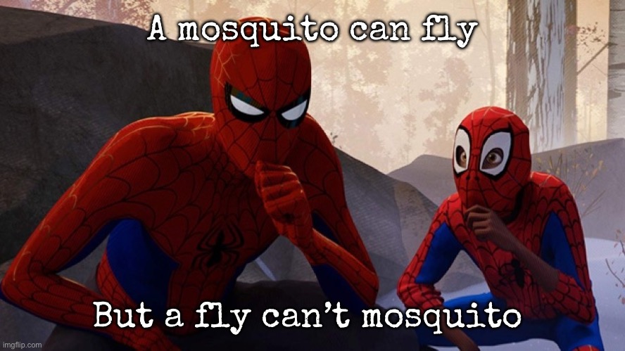 Spider-verse Meme | A mosquito can fly; But a fly can’t mosquito | image tagged in spider-verse meme,msmg | made w/ Imgflip meme maker