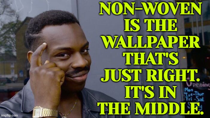 Non-Woven Is The Wallpaper That's Just Right. It's In The Middle. | NON-WOVEN
IS THE
WALLPAPER
THAT'S
JUST RIGHT.
IT'S IN
THE MIDDLE. | image tagged in memes,roll safe think about it,wallpapers,decorating,because capitalism,walls | made w/ Imgflip meme maker