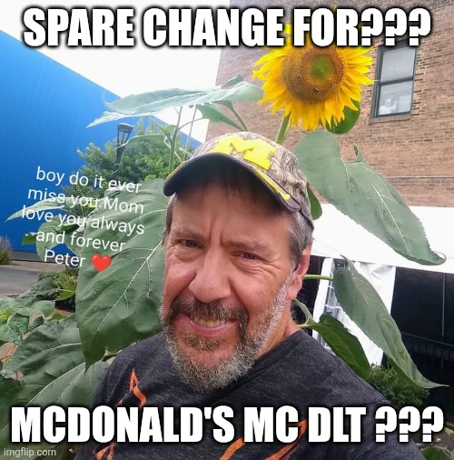 Spare Change For??? | SPARE CHANGE FOR??? MCDONALD'S MC DLT ??? | image tagged in peter plant,mcdonald's,homeless,bum,funny memes | made w/ Imgflip meme maker
