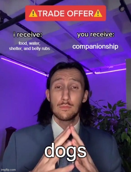 Trade Offer | food, water, shelter, and belly rubs; companionship; dogs | image tagged in trade offer | made w/ Imgflip meme maker