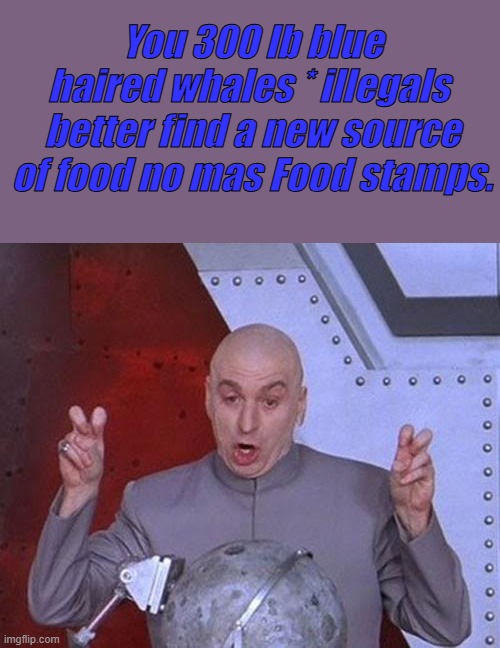 Freebies and hand outs create Rioters & attracts illegals. | You 300 lb blue haired whales * illegals  better find a new source of food no mas Food stamps. | image tagged in memes,dr evil laser | made w/ Imgflip meme maker