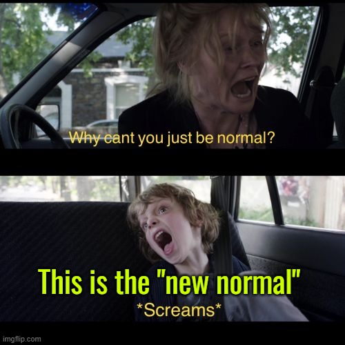 This is the "new normal" | This is the "new normal" | image tagged in why can't you be normal,new normal,society sucks,life sucks,i don't want to live on this planet anymore,life lessons | made w/ Imgflip meme maker